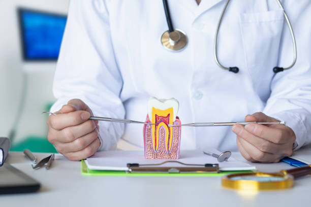 Best Emergency Tooth Extraction in Pendergrass, GA